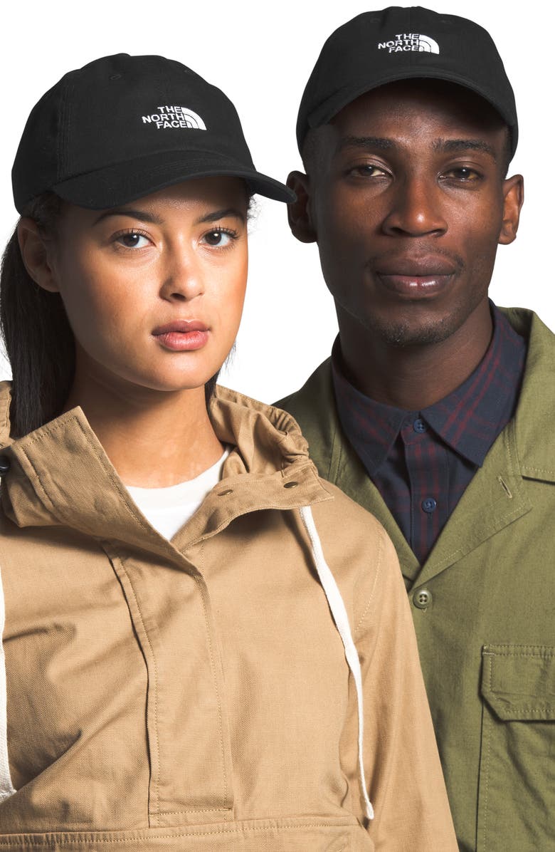 The North Face Norm Baseball Cap, Alternate, color, 