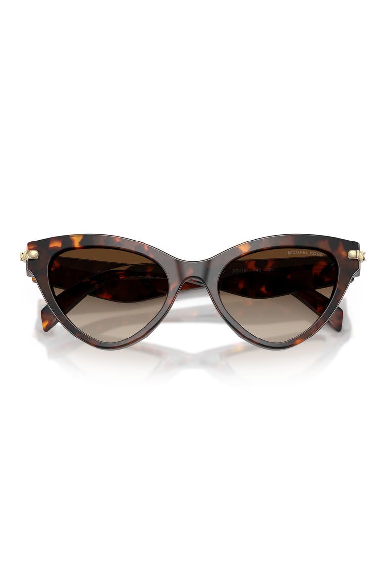 Roanoke 52mm Gradient Cat Eye Sunglasses, Alternate, color, LUGGAGE TORTOISE / SMOKE
