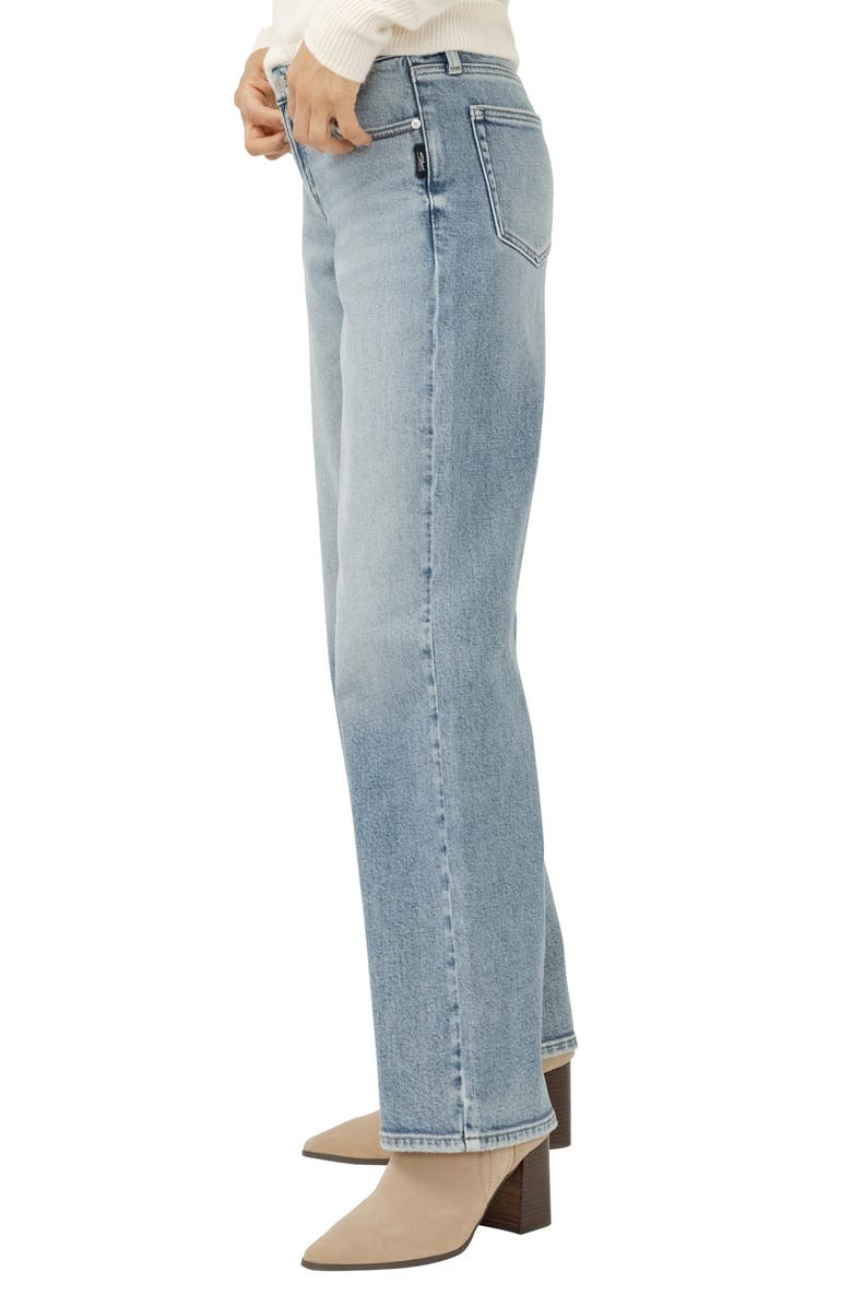 Silver Jeans Co. Loose & Low Baggy Jeans, Alternate, color, Grove