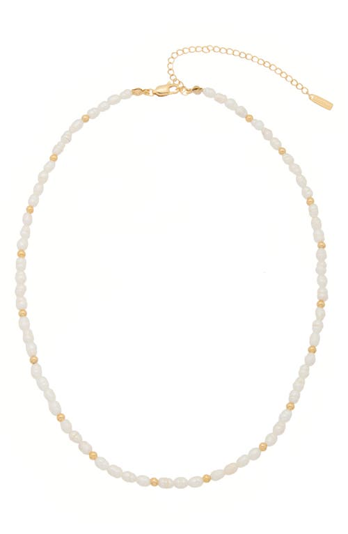 St. Moran Freshwater Seed Pearl Necklace In Multi