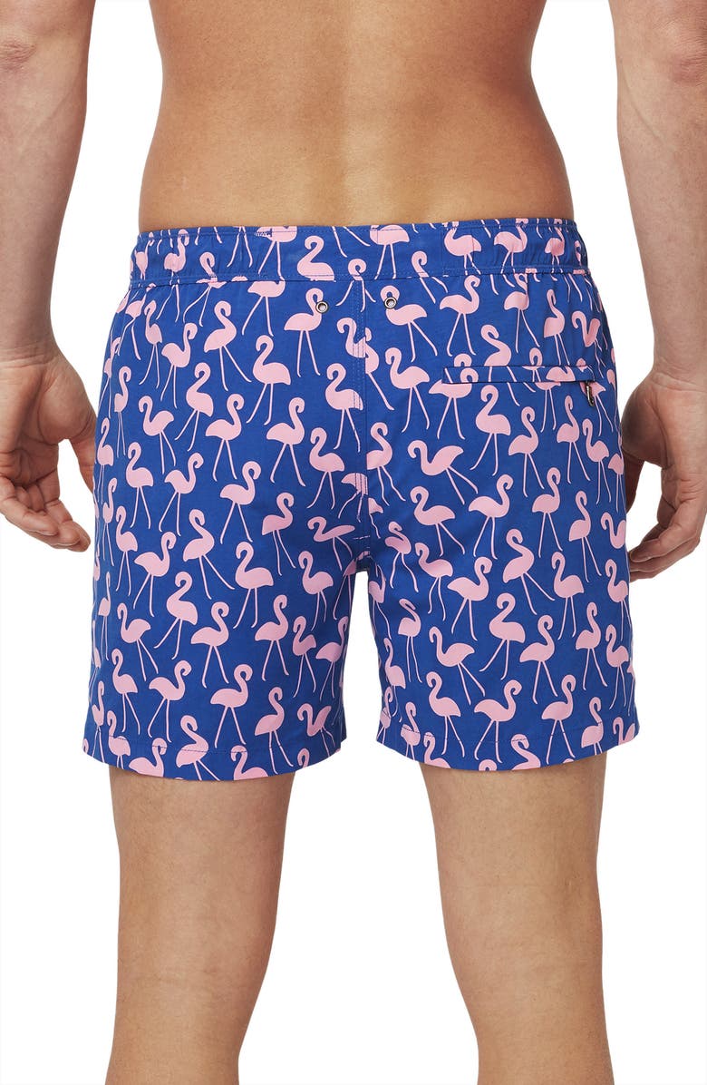 Tom & Teddy Flamingo Print Swim Trunks, Alternate, color,
