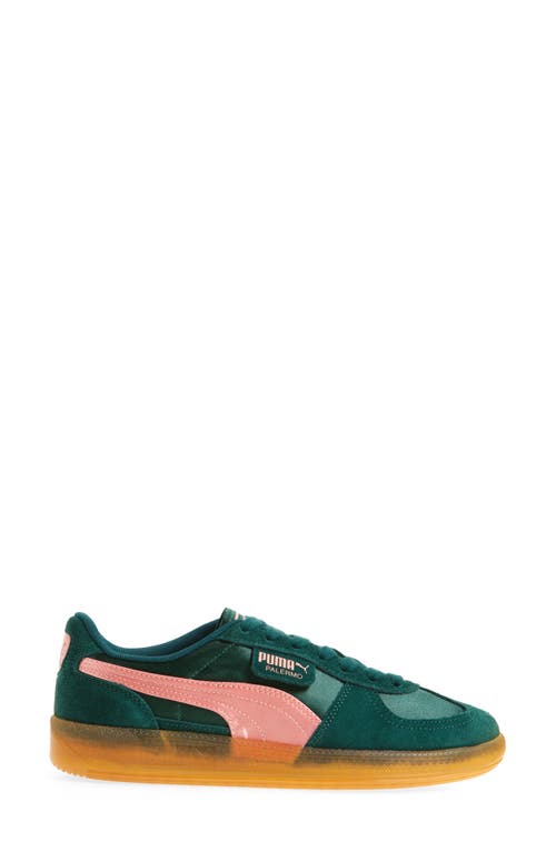 Puma Palermo Sneaker In Dark Myrtle-pink Fruit