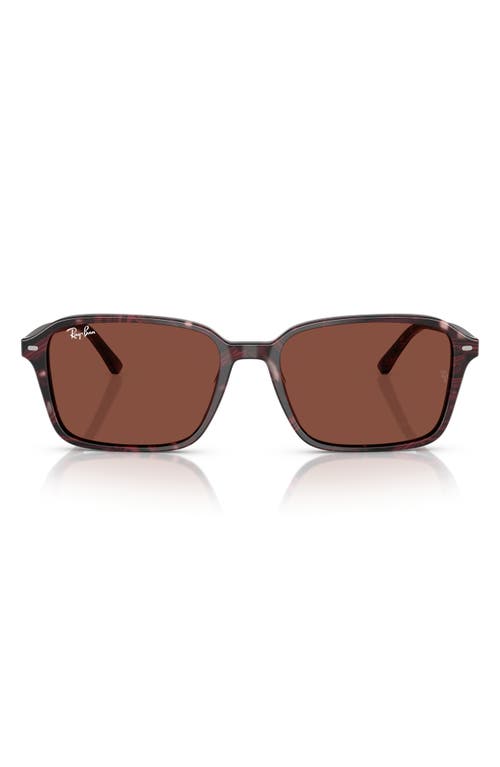 Ray Ban Ray-ban 58mm Square Sunglasses In Red