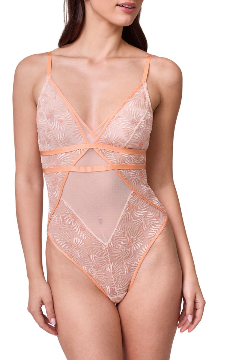 Montelle Intimates Tangerine Dream Embroidered Sheer Mesh Teddy, Main, color, Champagne/ Tangerine
