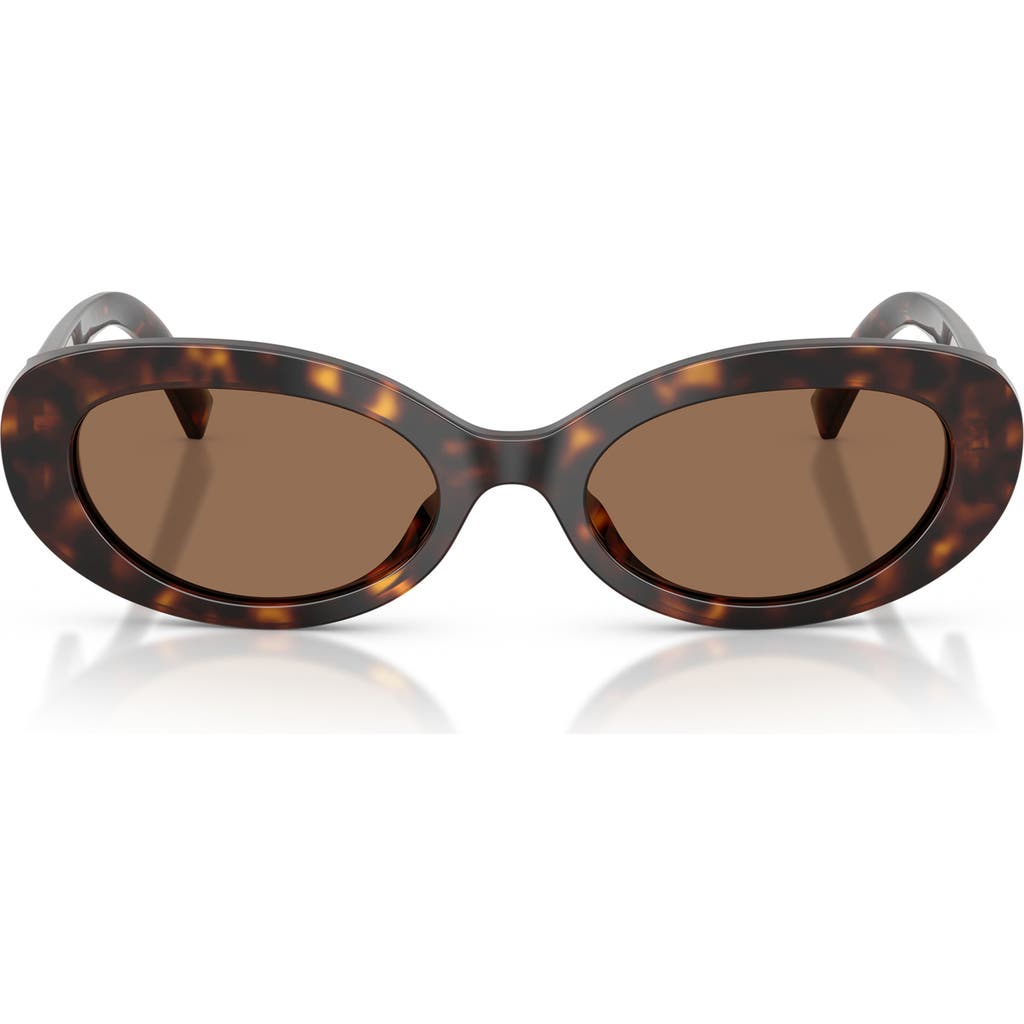 Dolce&Gabbana 53mm Oval Sunglasses in Havana/dark Brown at Nordstrom