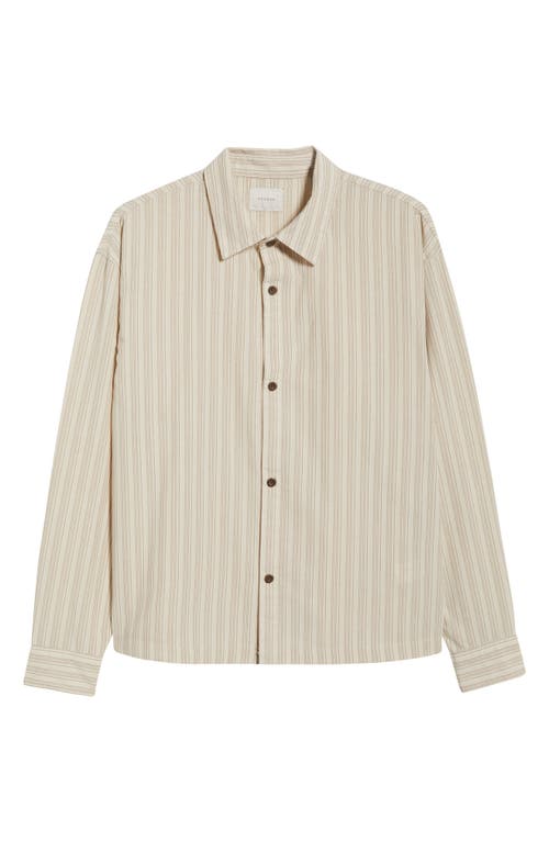 Pacsun Stripe Button-up Shirt In Brown