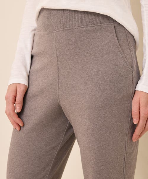 Pact Organic Cotton Airplane Jogger In Gray