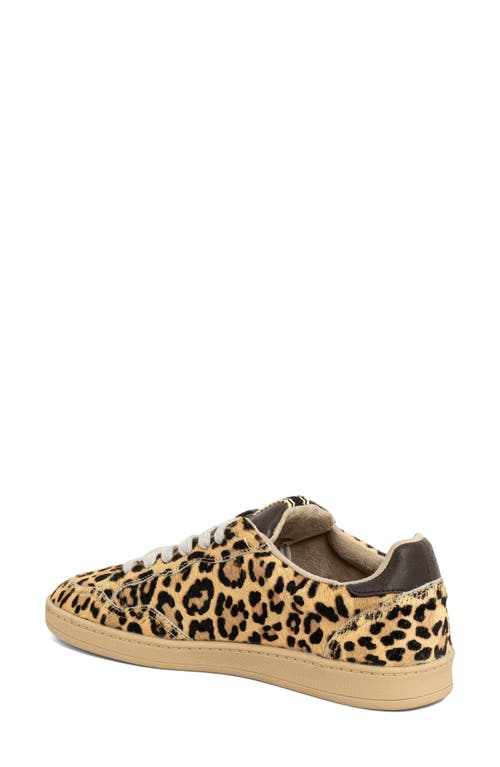 Shushop Roma Genuine Calf Hair Sneaker In Multi