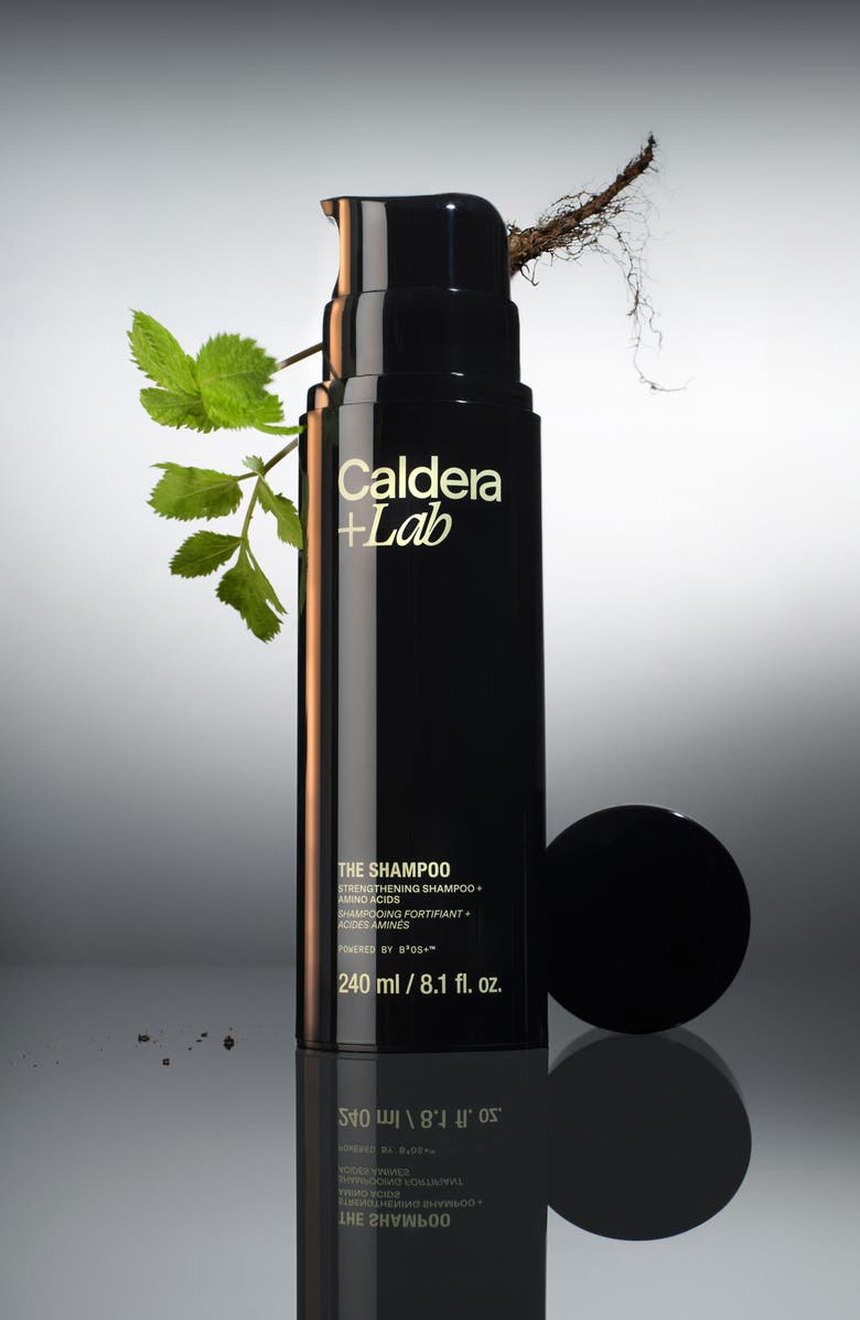 Caldera + Lab The Shampoo Strengthening Shampoo, Alternate, color, 