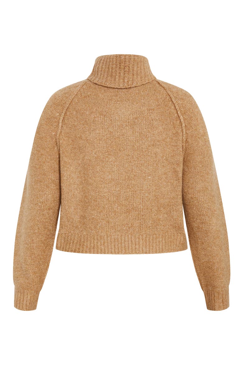 Demi Turtleneck Sweater, Alternate, color, SAND