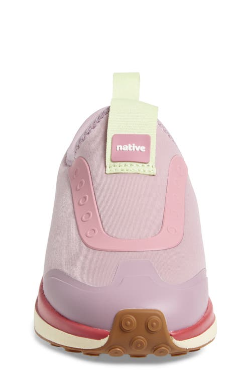 Native Shoes Robbie Dash Slip-on Sneaker In Multi