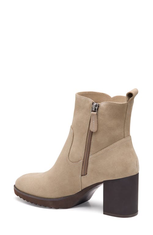 Johnston & Murphy Izzie Waterproof Platform Bootie In Neutral