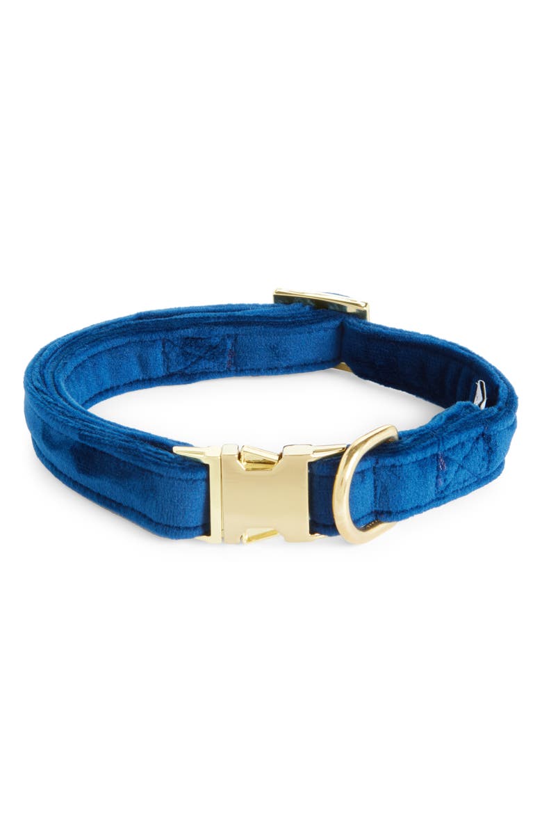 The Foggy Dog Velvet Dog Collar, Main, color, Navy Velvet