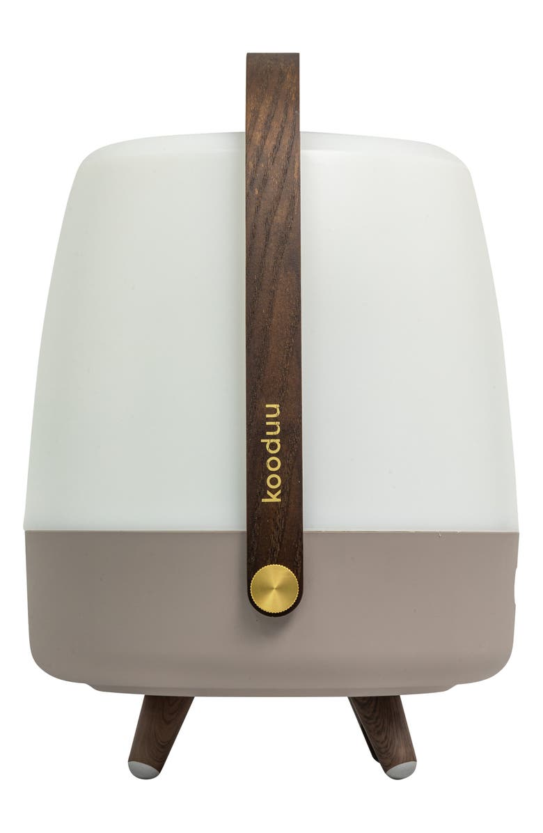 ADESSO LIGHTING Lite Up Play Lamp, Alternate, color, Earth