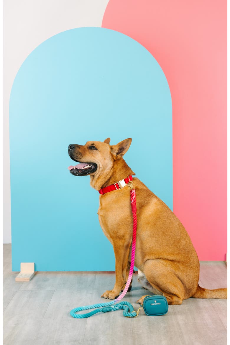 Blaze Dog Collar, Alternate, color, Blaze