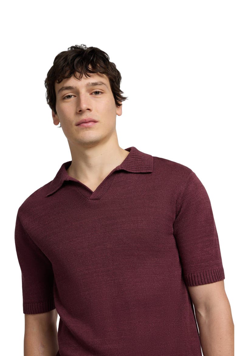 Silk and Linen Short Sleeve Johnny Polo, Alternate, color, Port Wine
