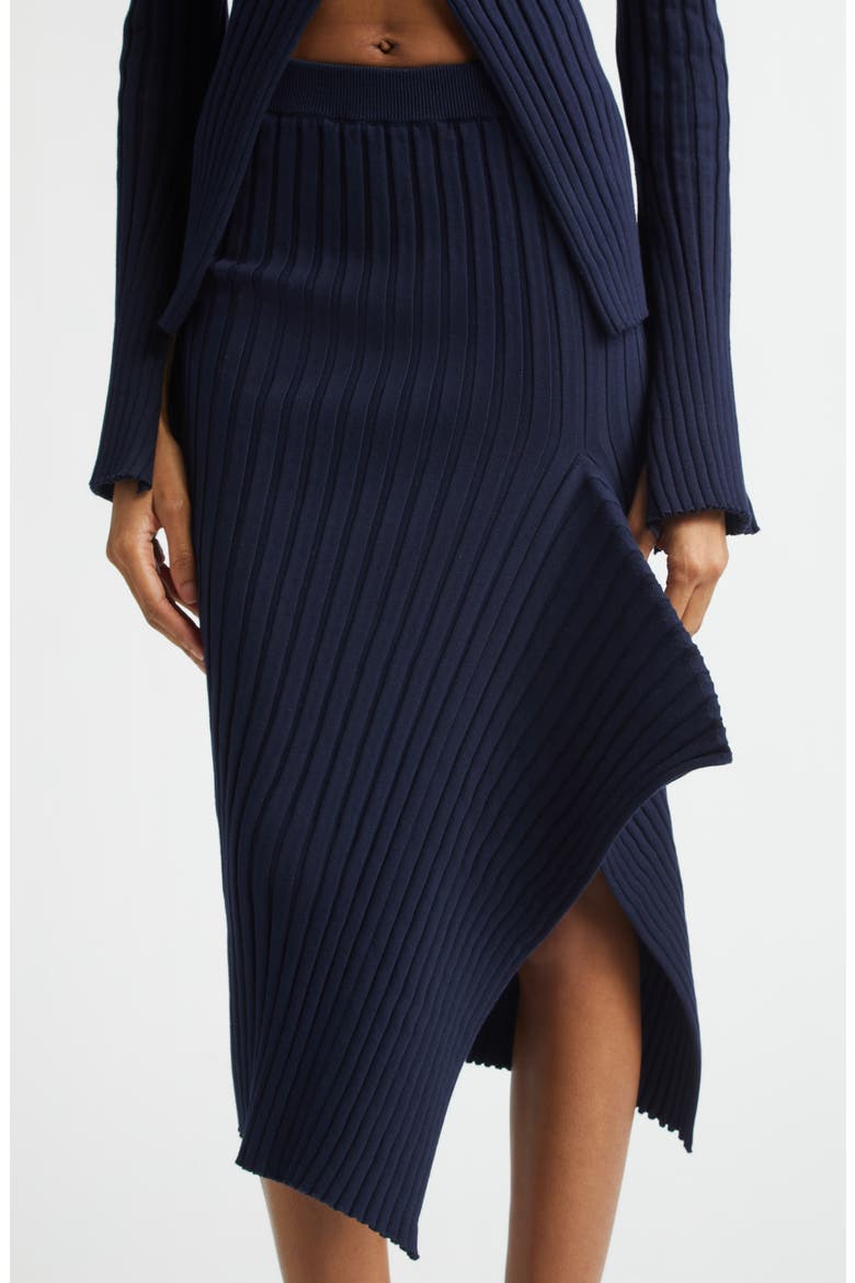 Cotton Ribbed Sweater Skirt, Alternate, color, INK