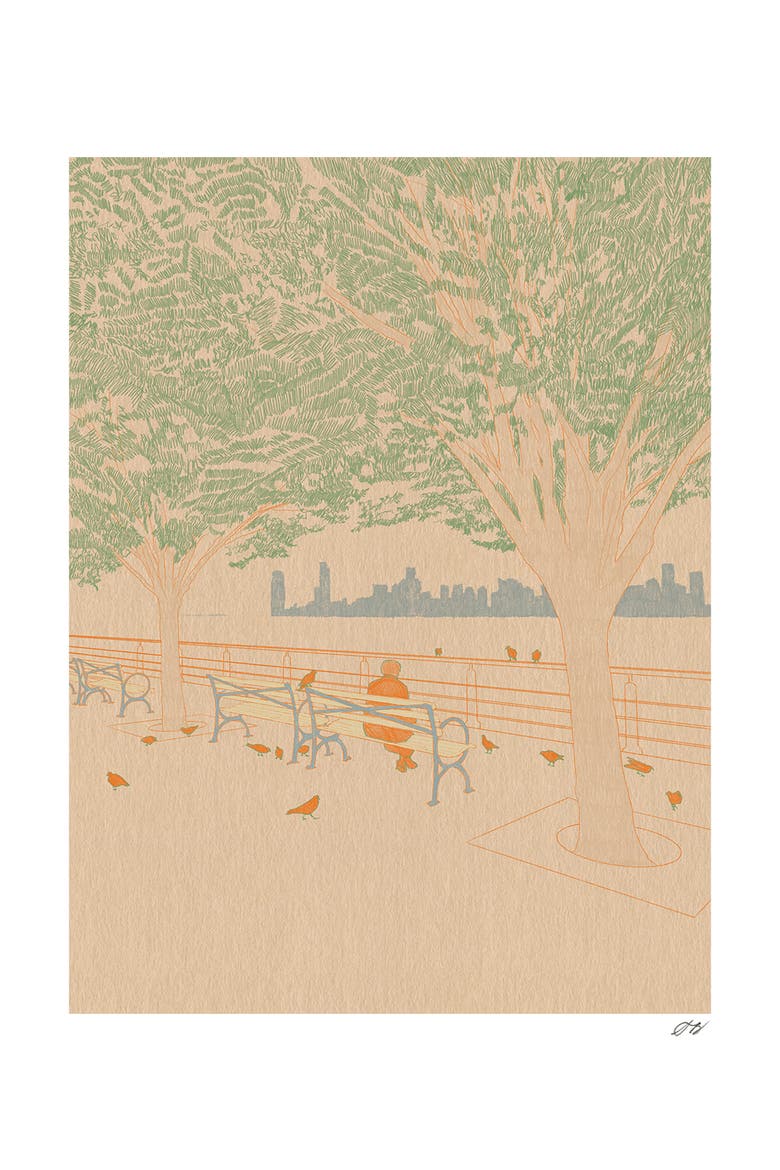 Pigeons Print, Main, color, Multi