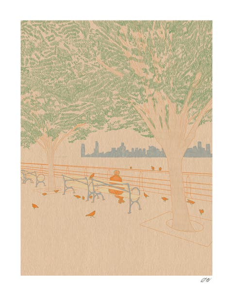 Pigeons Print