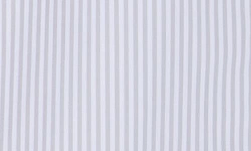 Theory Stripe Long Sleeve Button-up Shirt In Gray
