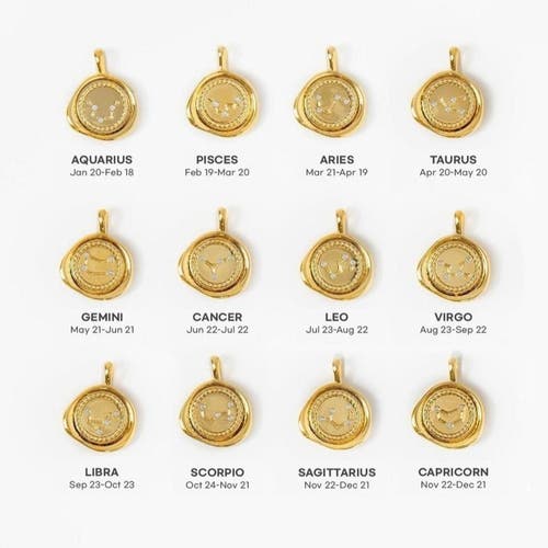 Bearfruit Jewelry 14k Gold Plated Seal Constellation Necklace 12 Zodiac Signs Holiday Gift Guide In Gold