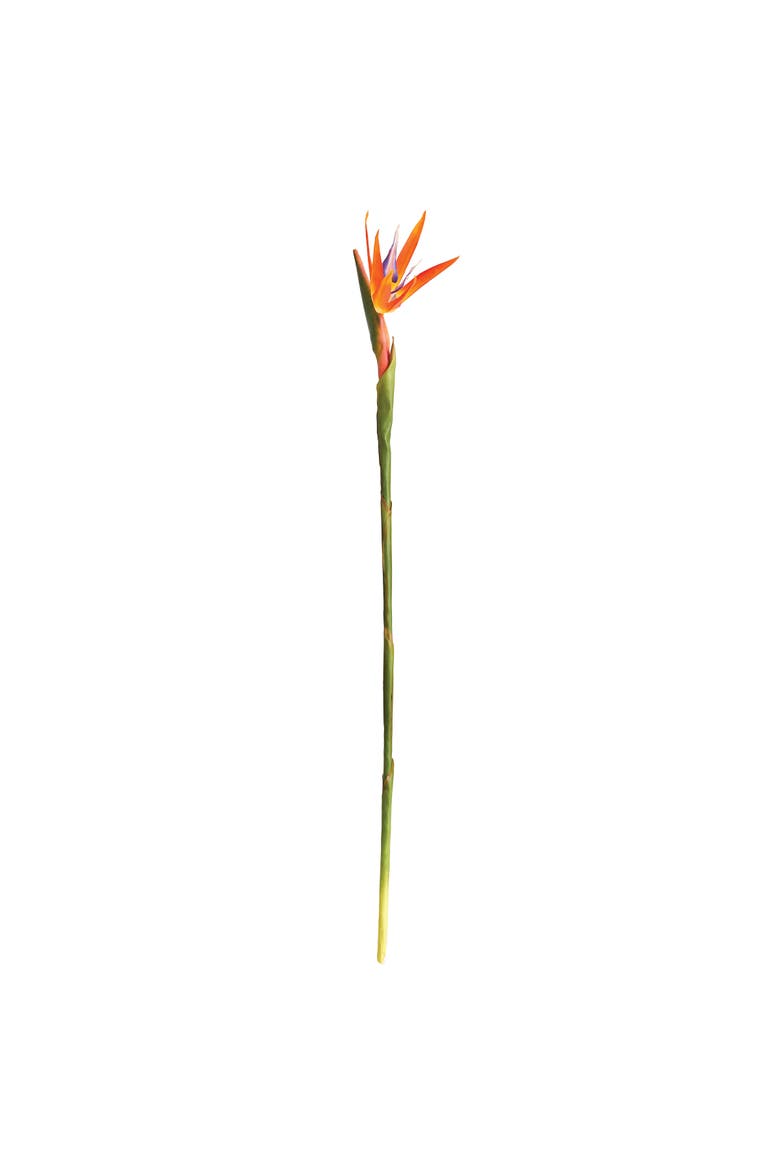 31.5" Bird Of Paradise Artificial Stem, Main, color, Orange