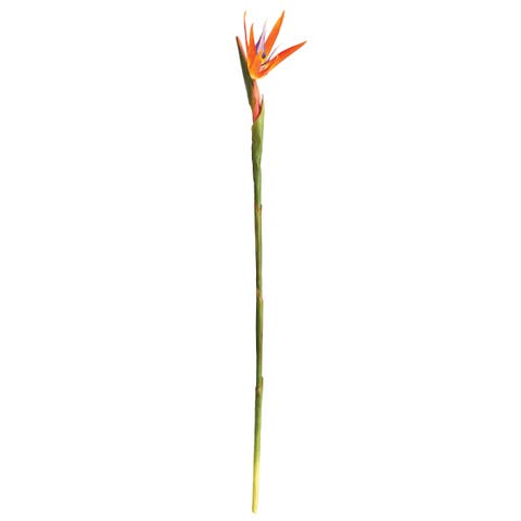 31.5" Bird Of Paradise Artificial Stem