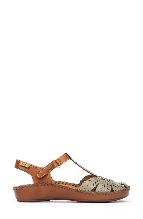 Pikolinos Vallarta T-strap Sandal In Sage