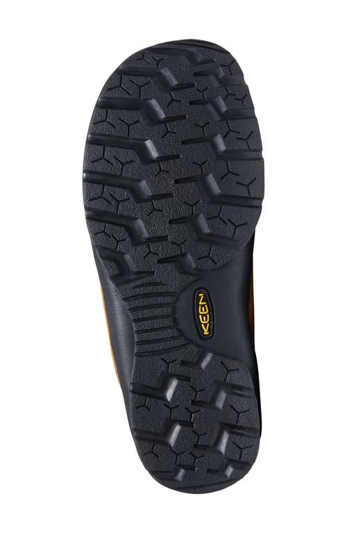 Keen Jasper Sneaker