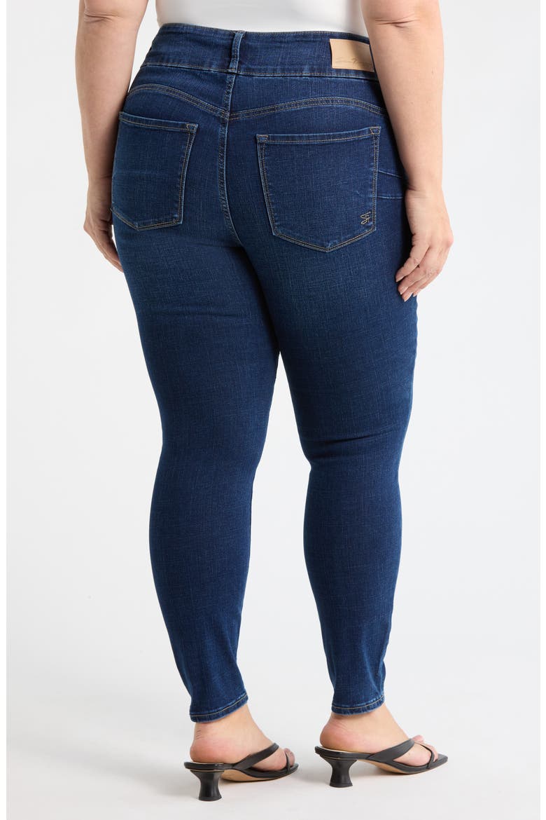 Curvy High Waist Skinny Jeans, Alternate, color, CANYON