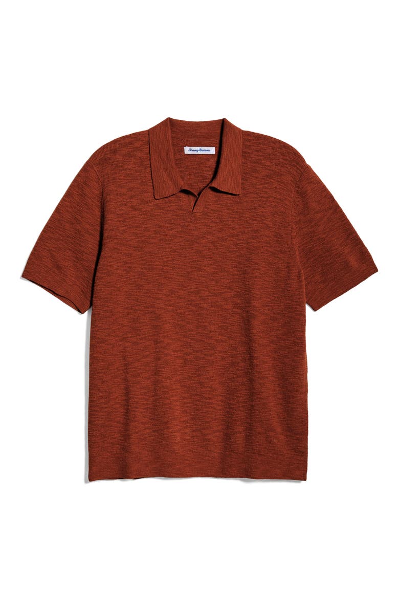Santa Cruz Johnny Collar Slub Cotton Blend Polo, Alternate, color, SPICY