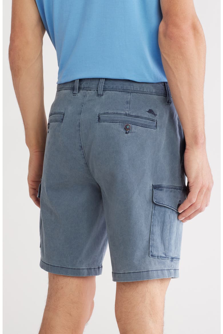 Boracay Bay Cargo Shorts, Alternate, color, TANZANITE