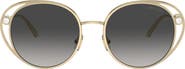 Jimmy Choo 53mm Oval Sunglasses