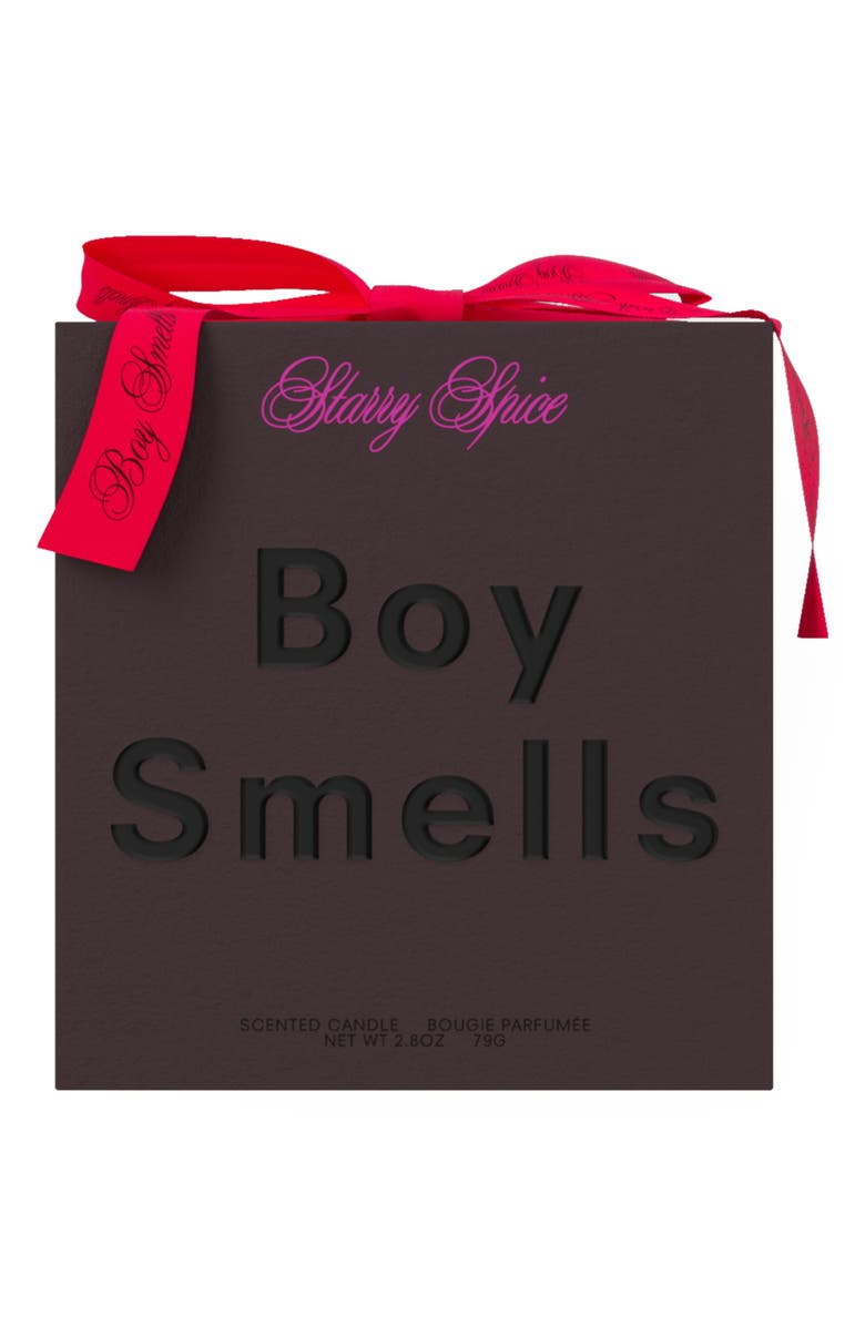 Boy Smells Starry Spice Candle, Alternate, color,