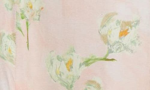 Emilia Wickstead Floral Pleated Skirt In Little Lillies On Pink