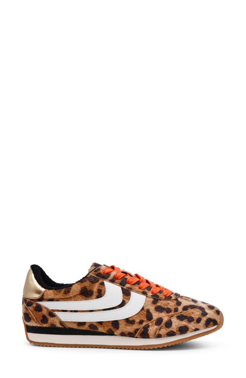 Dolce Vita Dv By Hype Faux Shearling Lined Sneaker In Animal Print