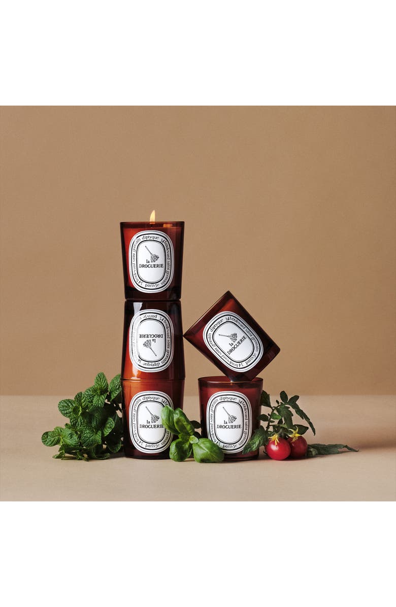 Diptyque La Droguerie Odor Removing Candle, Alternate, color,