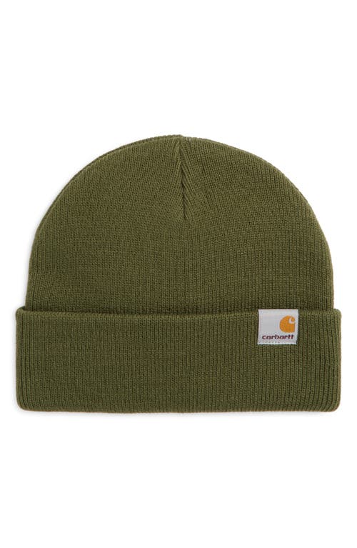 Carhartt Work In Progress Stratus Beanie in Tarragon 