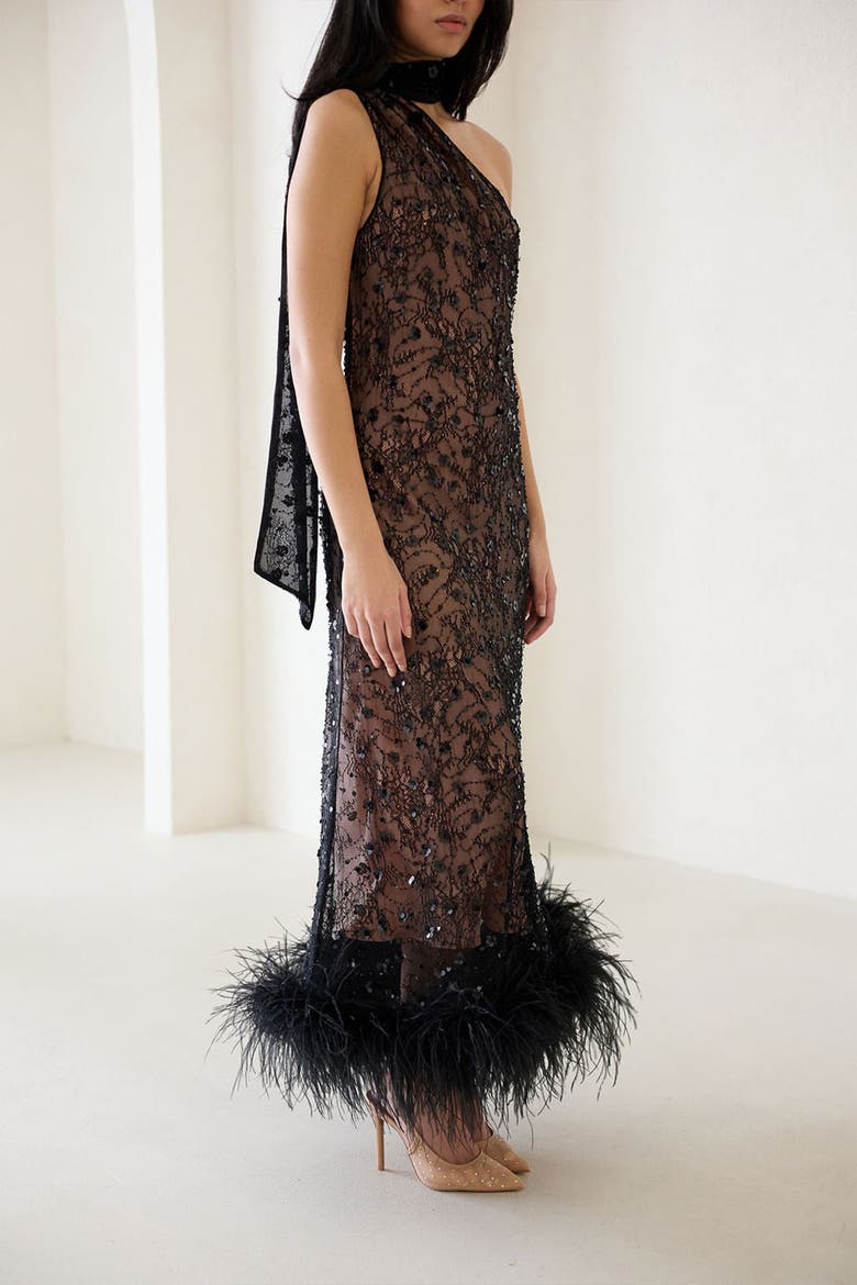 Liya Shadow Lace Feather Dress, Alternate, color, Black Lace