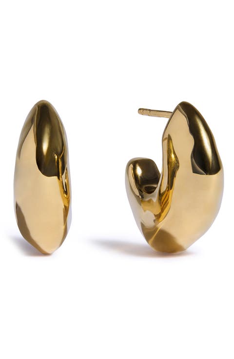 Odyssey Medium Hoop Earrings
