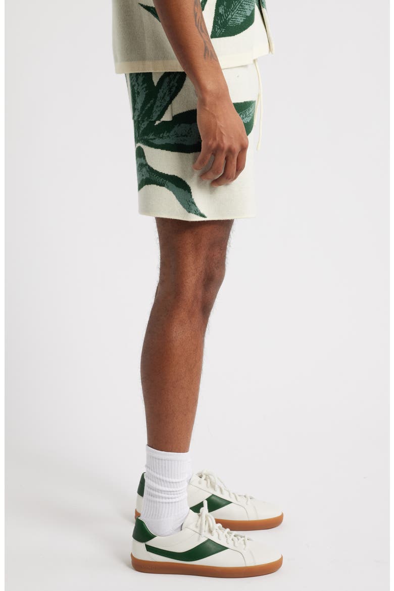 Jungle Knit Shorts, Alternate, color, BEIGE
