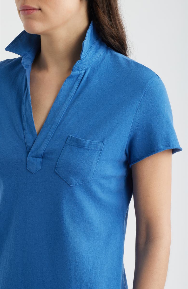 Frank & Eileen Lauren Polo Dress, Alternate, color, Lazuli