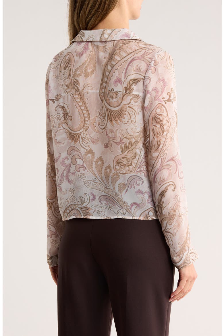 Print Long Sleeve Crop Blouse, Alternate, color, LIGHT PAISLEY PRINT