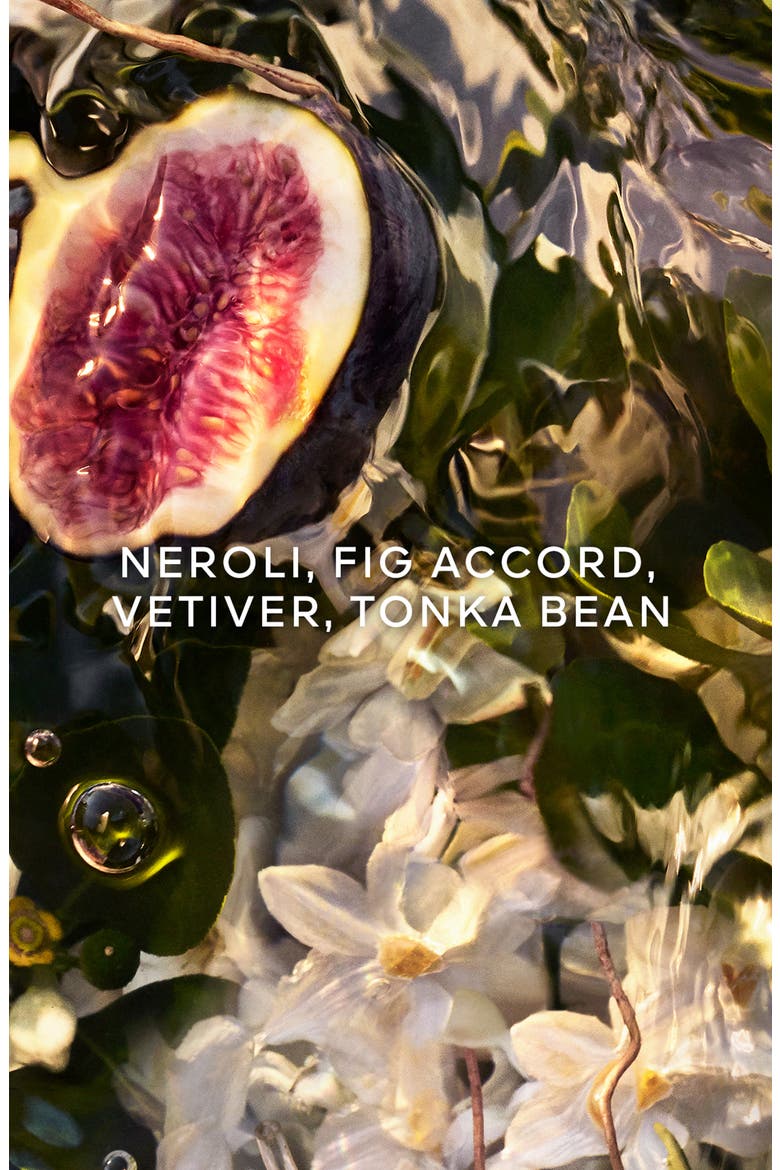 Aqua Allegoria Forte Nerolia Vetiver Refillable Eau de Parfum, Alternate, color, NO COLOR