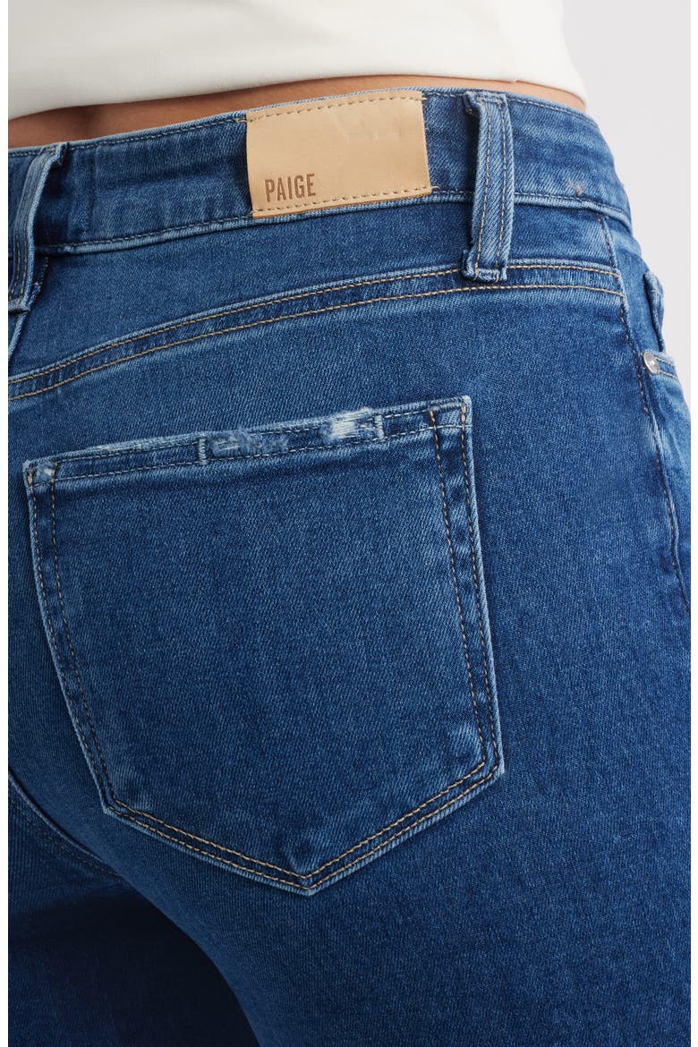 Cindy High Waist Ankle Straight Leg Jeans, Alternate, color, DRESDEN