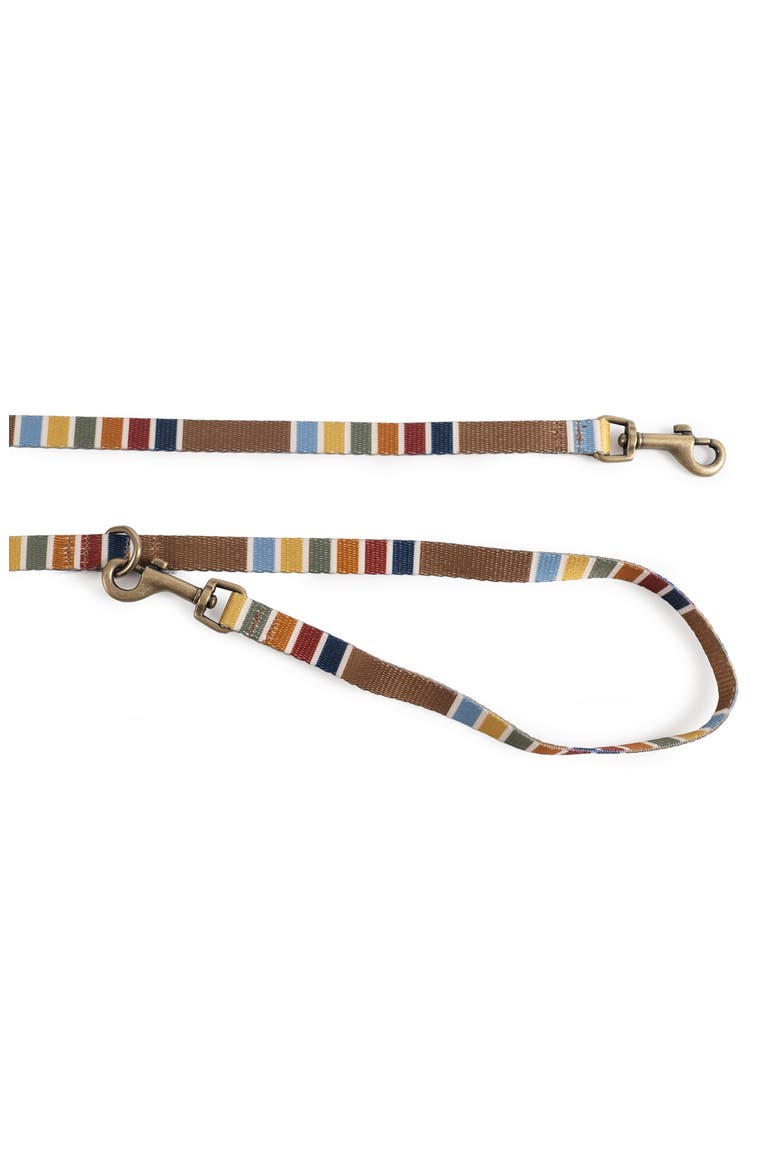 National Park Adventure Leash, Alternate, color, JOSHUA TREE