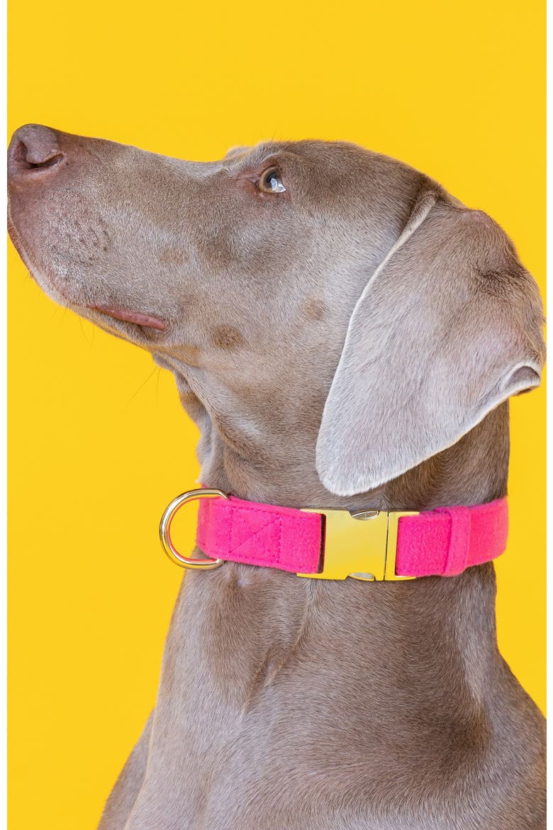 Antoinette Dog Collar, Alternate, color, Antoinette