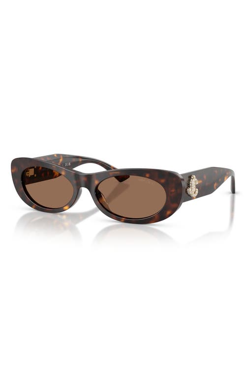 Jimmy Choo Jc 5038bu 500273 54mm Womens Oval Sunglasses In Brown