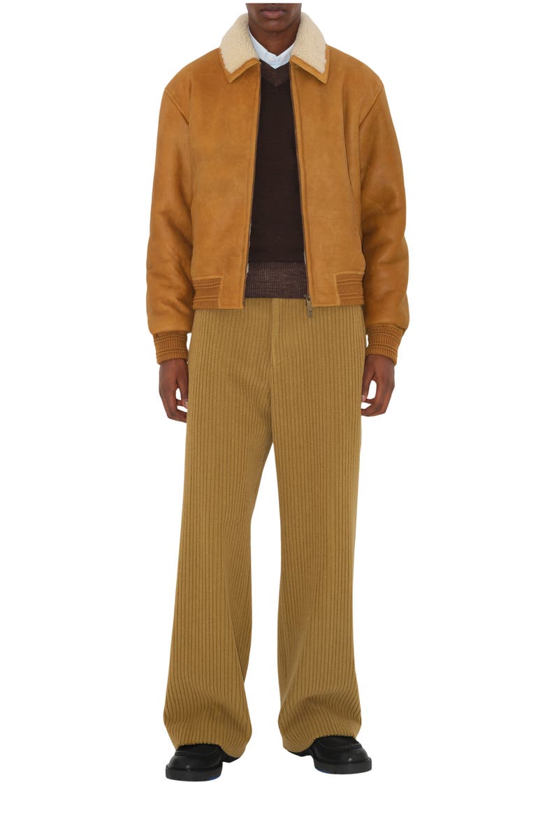 Burberry Shearling Harrington Jacket, Main, color, 