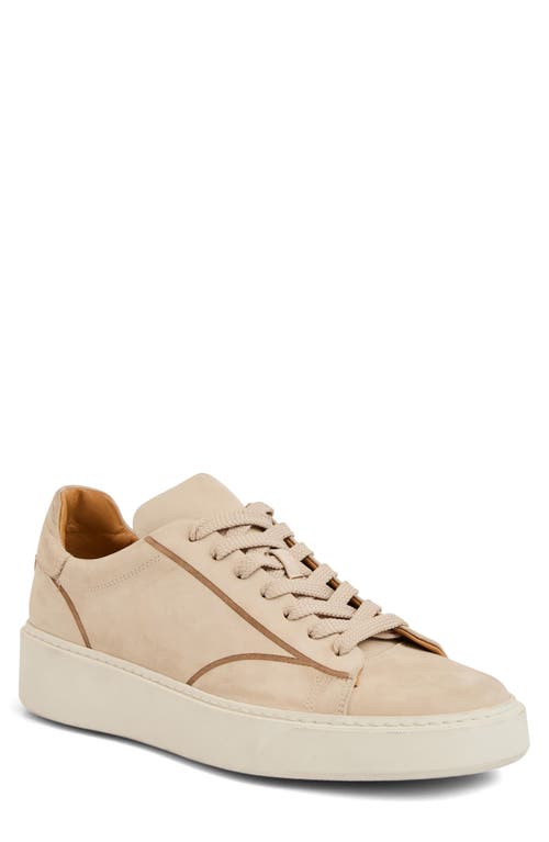 Bruno Magli Matteo Sneaker In Brown
